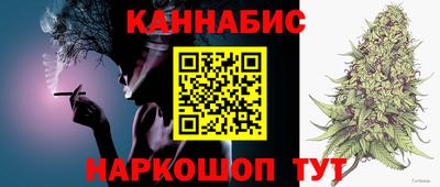 СК Обь