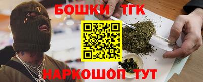 СК Обь