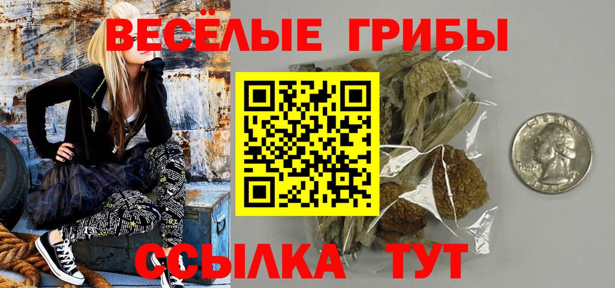 Псилоцибиновые грибы Psilocybe  Вход с VPN  Псилоцибиновые грибы мицелий  Печора 